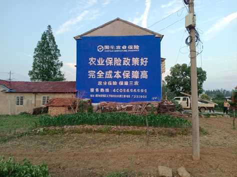 高安墙体广告为何受追捧？